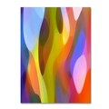 Trademark Fine Art Amy Vangsgard 'Dappled Light 3' Canvas Art, 18x24 AV0101-C1824GG